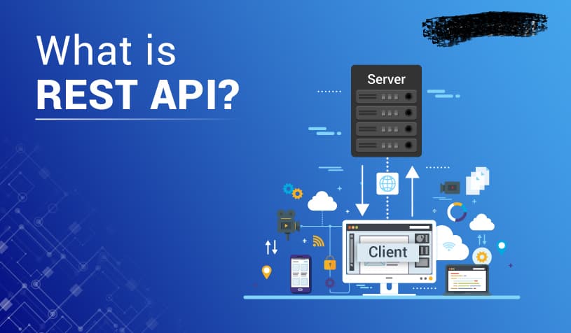 Learn REST APIs from the beginning